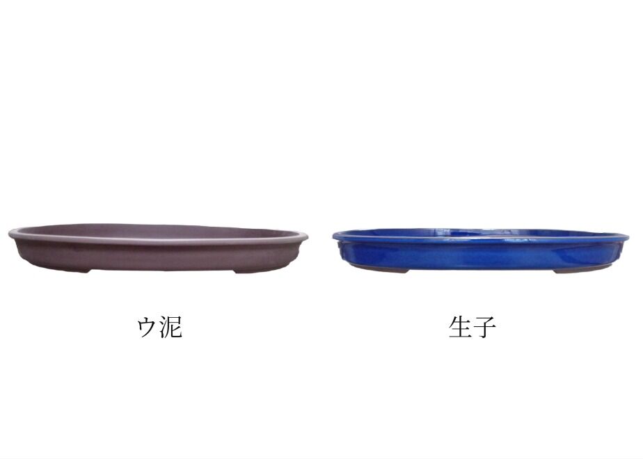 645766f4d90e540031800601