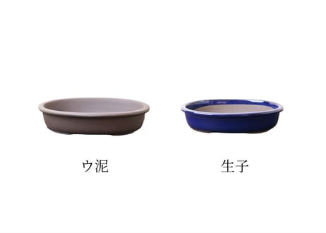 【4色から選んで下さい】 8号 オカメ小判