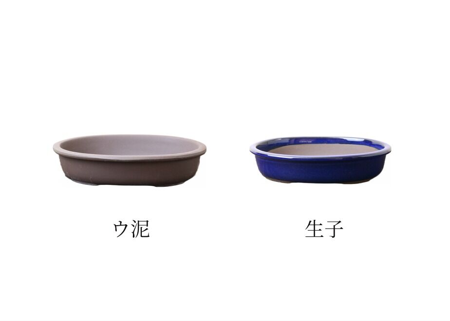 63aaa58a91260a491d55a9f4
