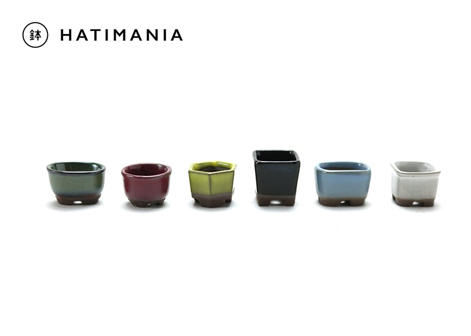 鉢 21cm 植木鉢 おしゃれ ニュートラコニックS 19cm 6号 穴あり 白 黒