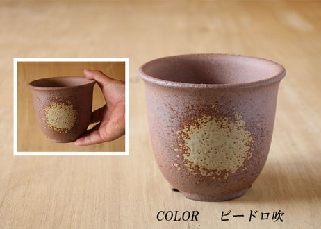 【7色から選んで下さい】 エビネ鉢 4号