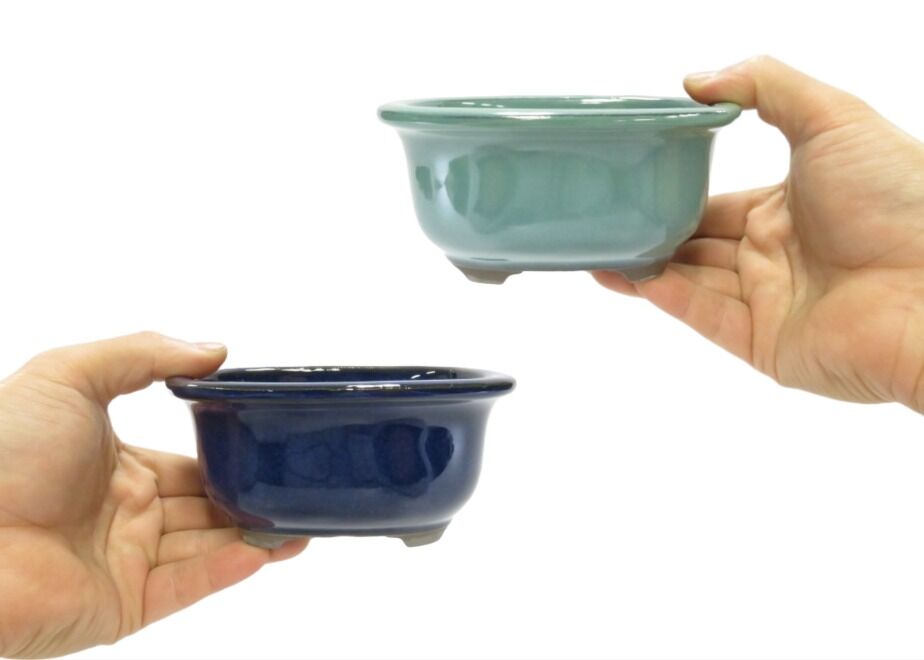 63aff0a291260a2cfdf6488e