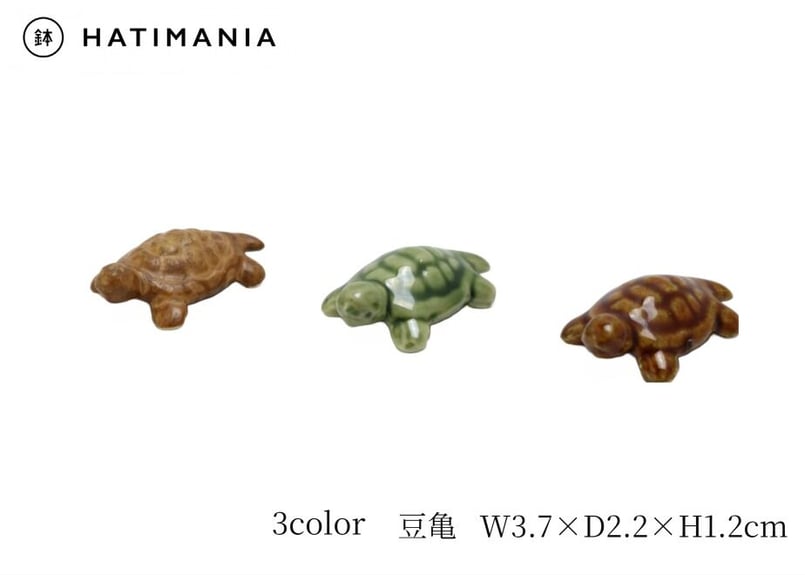 3色から選んで下さい】豆亀 | 鉢マニア