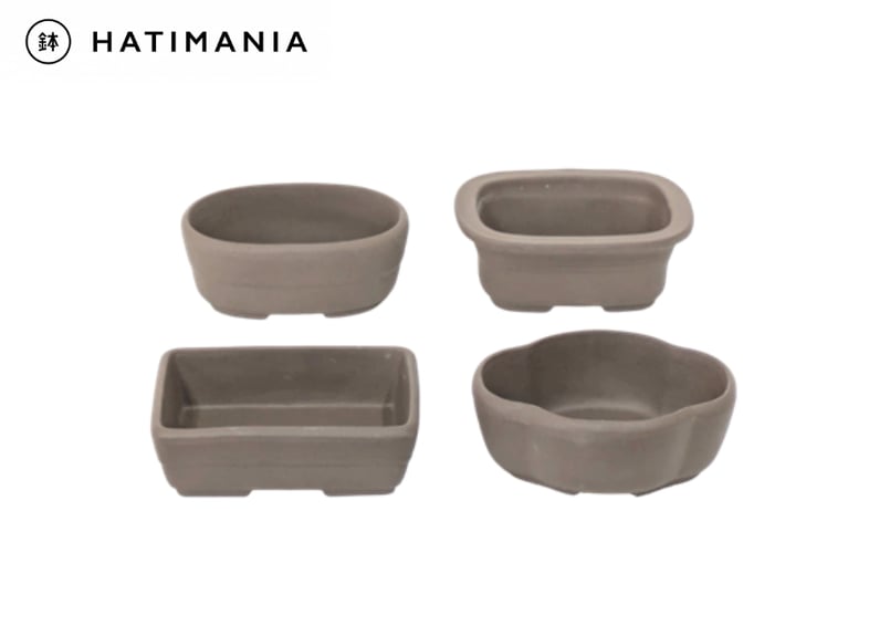 ウ泥 4点 3.5～4号 小鉢 | 鉢マニア