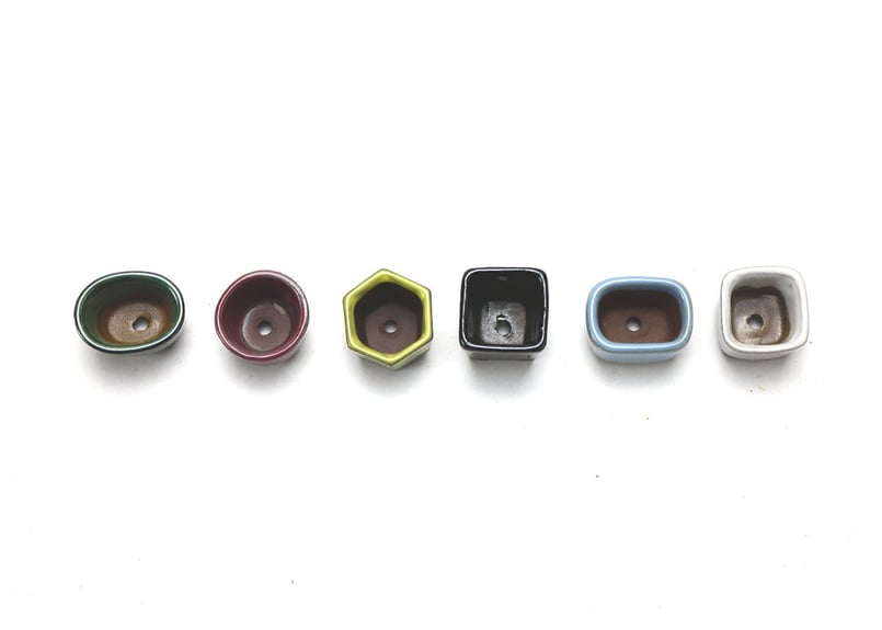 色 6点 アソート 0.5号 豆鉢【CA3100】 | 鉢マニア 色 6点 アソート 0.5号 豆鉢【CA3100】 | 鉢マニア
