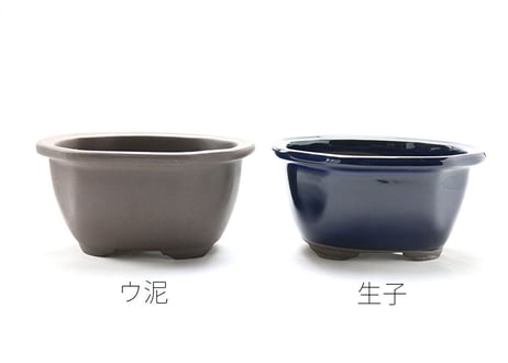 【5色から選んで下さい】5号 モッコ鉢