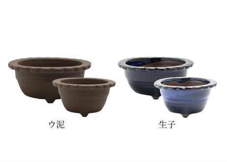 【4色から選んで下さい】松鉢 5号4号セット