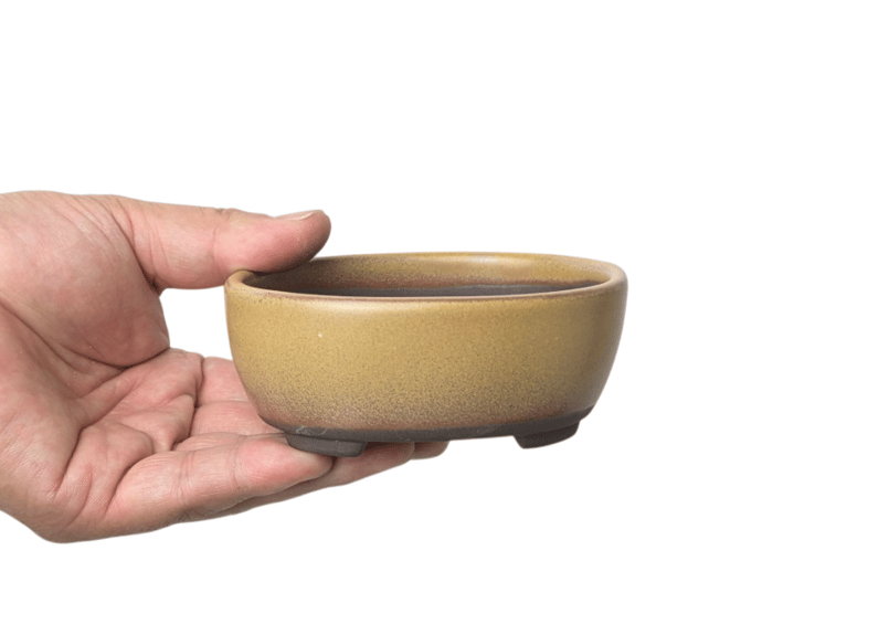 色アソート 12点 2.5～3号 小鉢【CA1003-3】 | 鉢マニア