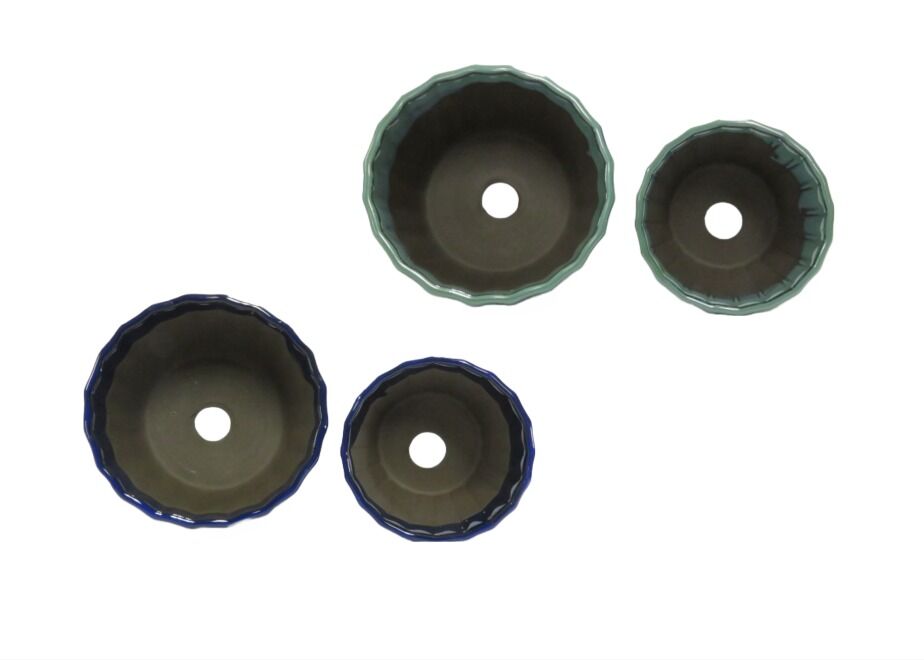   1815 多色皿セット　4枚セット Royal Doulton 1815 多色皿セット 4枚セット