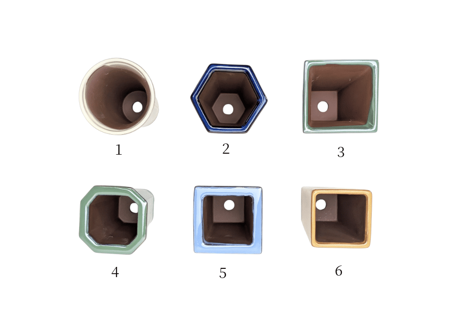 69625419243a75e21d66800f