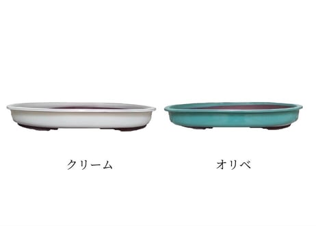 【4色から選んで下さい】15号 オカメ小判