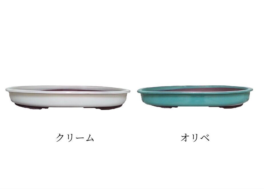 6455d7ed13061f00329eba4c