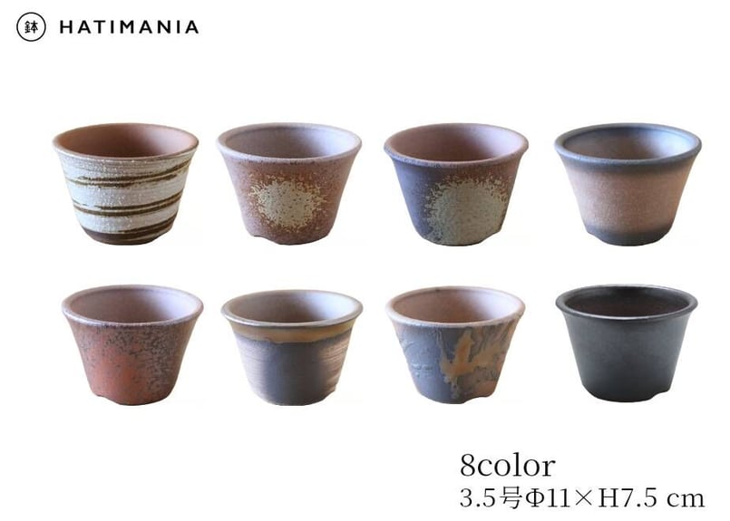 HATIMANIA 鉢マニア 金彩 浅型 3.5号 萬古焼 盆栽鉢 陶器 whgh.jpg