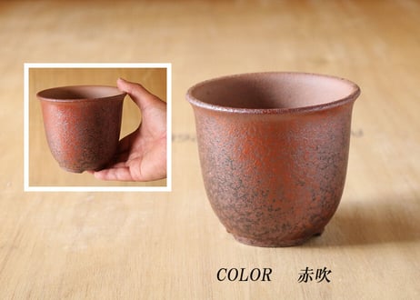 【7色から選んで下さい】 エビネ鉢 4号