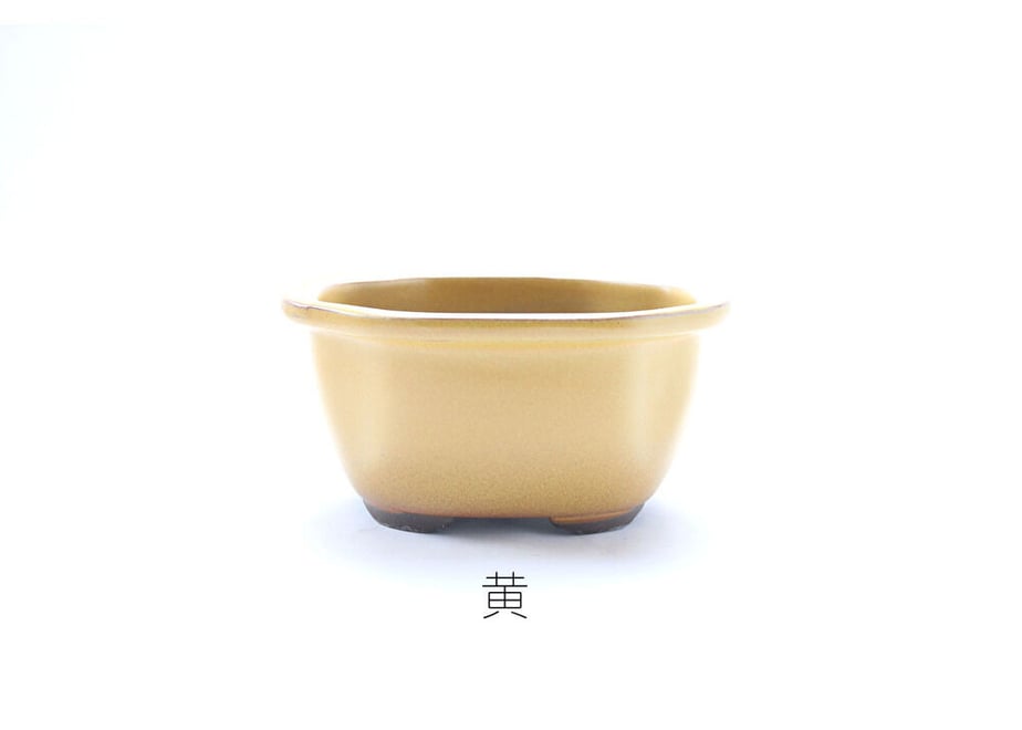 621f43b123c2aa180bb176ea