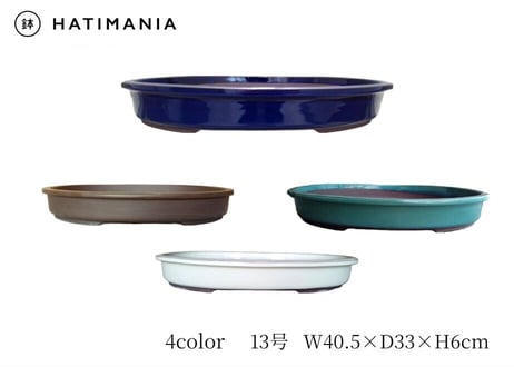 CATEGORY 13 | 鉢マニア