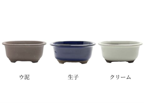 【5色から選んで下さい】5号 小判エン付鉢