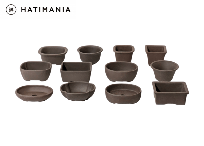 【鷲ノ巣】灰被天目　植木鉢(盆栽鉢)241109-6/10 鷲ノ巣】灰被天目 植木鉢(盆栽鉢)241109-6/10 鉢乃木屋 - 齊藤真之