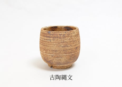 【3色から選んで下さい】 2.5号 タイコ鉢
