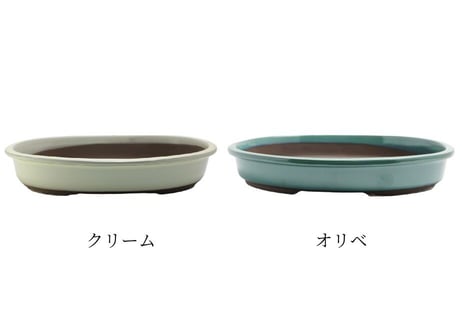 【4色から選んで下さい】12号 オカメ小判