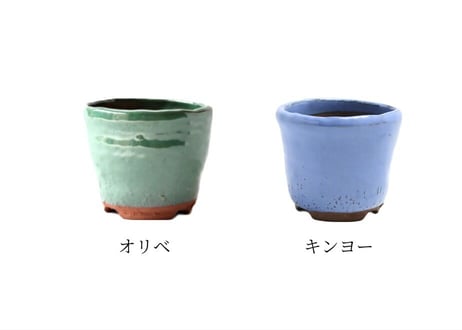 【5色から選んで下さい】丸変型ウチョウラン鉢 3.5号