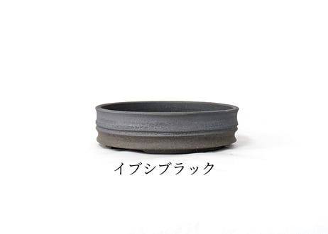 【在庫限り】【2色から選んで下さい】5号 丸浅型鉢