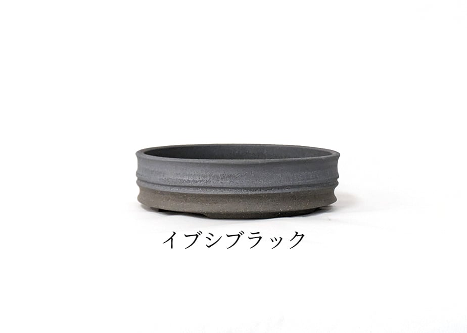 66259b8f2987f634dc43821d