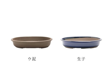 【4色から選んで下さい】9号 オカメ小判