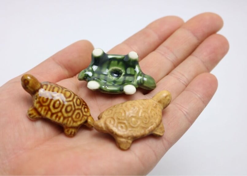 3色から選んで下さい】1.5号 亀 | 鉢マニア