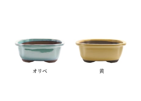 【5色から選んで下さい】7号 モッコ鉢