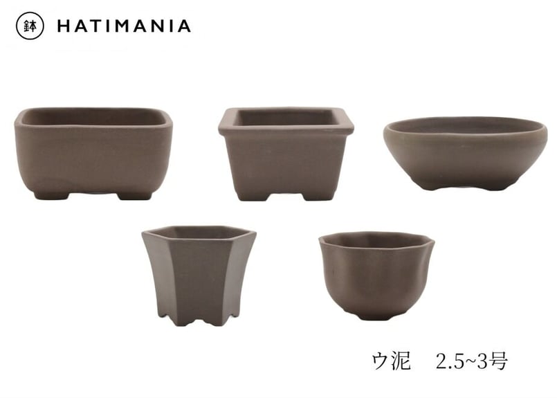 ウ泥 5点セット 2.5~3号 小鉢 | 鉢マニア ウ泥 5点セット 2.5~3号 小鉢 | 鉢マニア