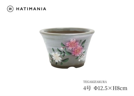 手描き桜 4号 丸反型鉢【TS3500-4】