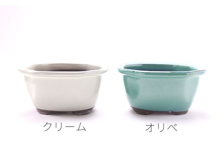 【5色から選んで下さい】5号 モッコ鉢
