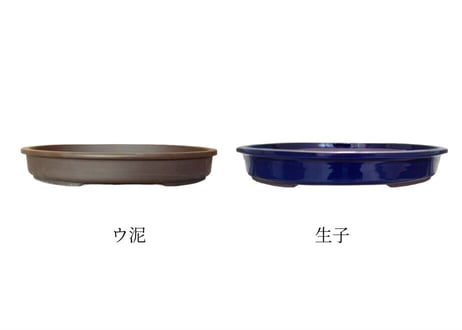【4色から選んで下さい】13号 オカメ小判