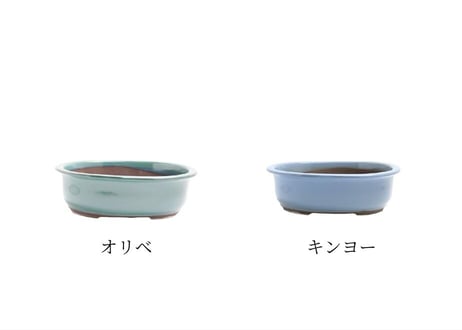 【5色から選んで下さい】9号 小判エン付鉢
