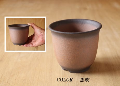 【7色から選んで下さい】 エビネ鉢 4号