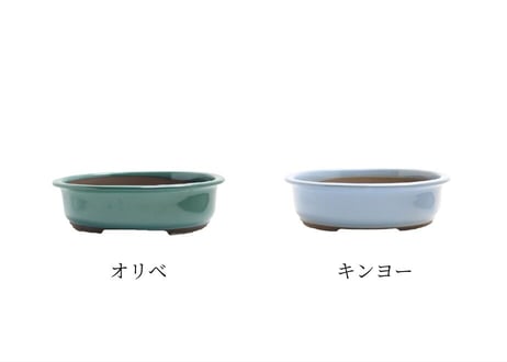 【5色から選んで下さい】10号 小判エン付鉢