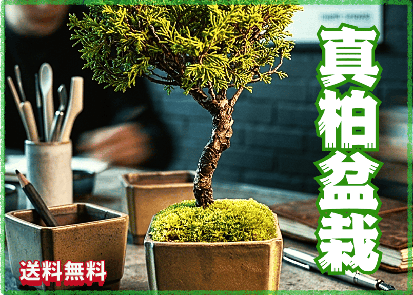 鉢マニア