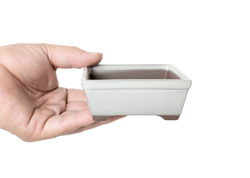 色 10点 アソート 2.5～3号 小鉢【CA1001-3】 | 鉢マニア