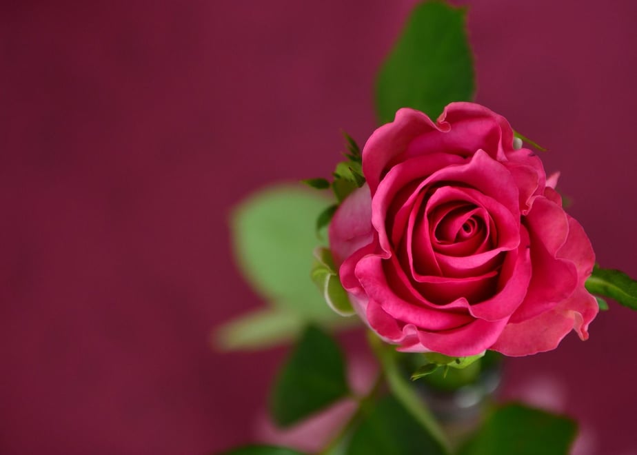 5f0bd6c6df62a976f77cbf9c