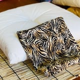 ZABUTONYA