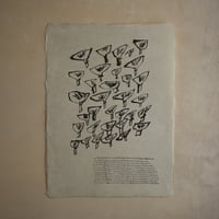 あまんだれ（Honey mushroom）