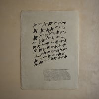 わたりどり（Migratory bird）