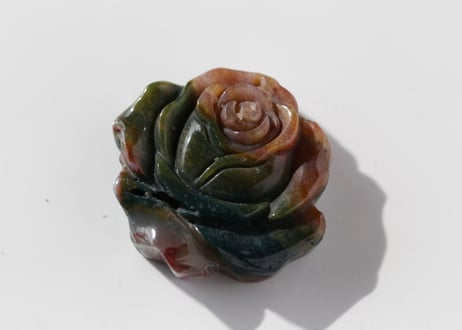 【ベルサイユ】オーシャンジャスパーの花