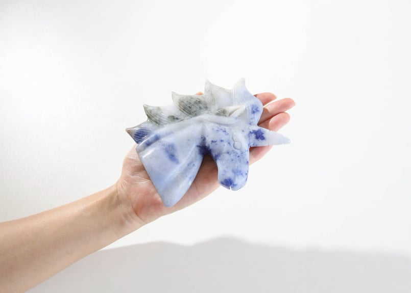 悟りのシッディ入り】ソーダライト ユニコーン | Y.S.Y24