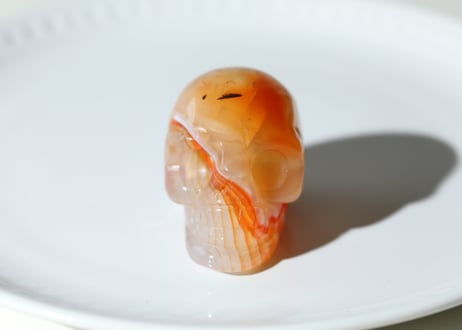 【陰陽統合】サードニクス スカル