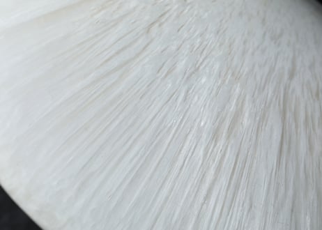 【天使に愛されて】スコレサイト 握り石