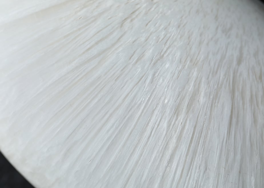 6716073d5f5ac5023c64b1e6