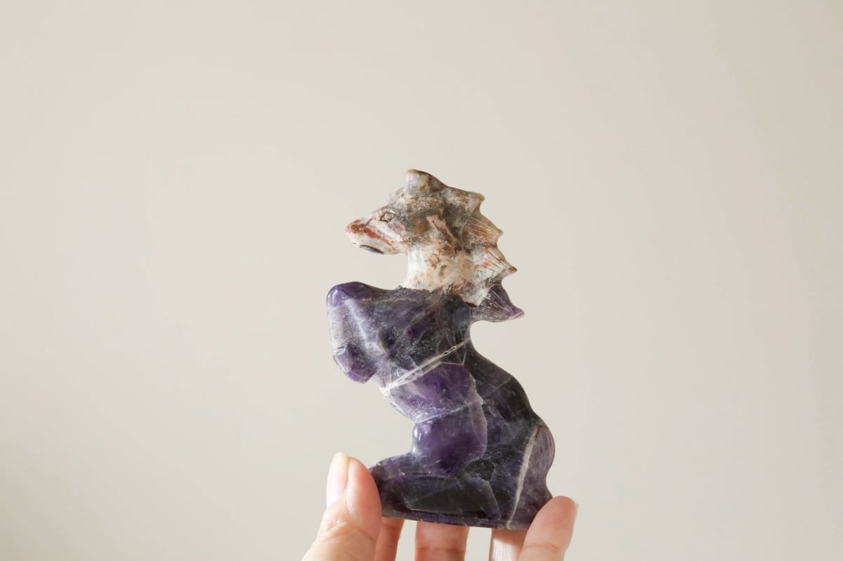 ascension】アメジストの馬 | Y.S.Y24