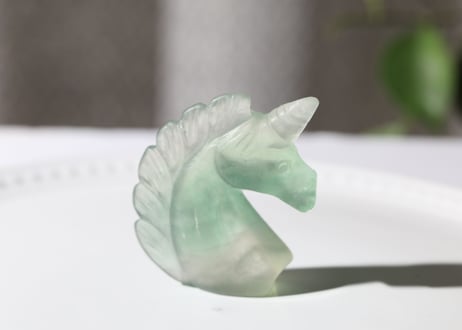 【マインドの拘束からの解放シッティ入り】フローライト ユニコーン